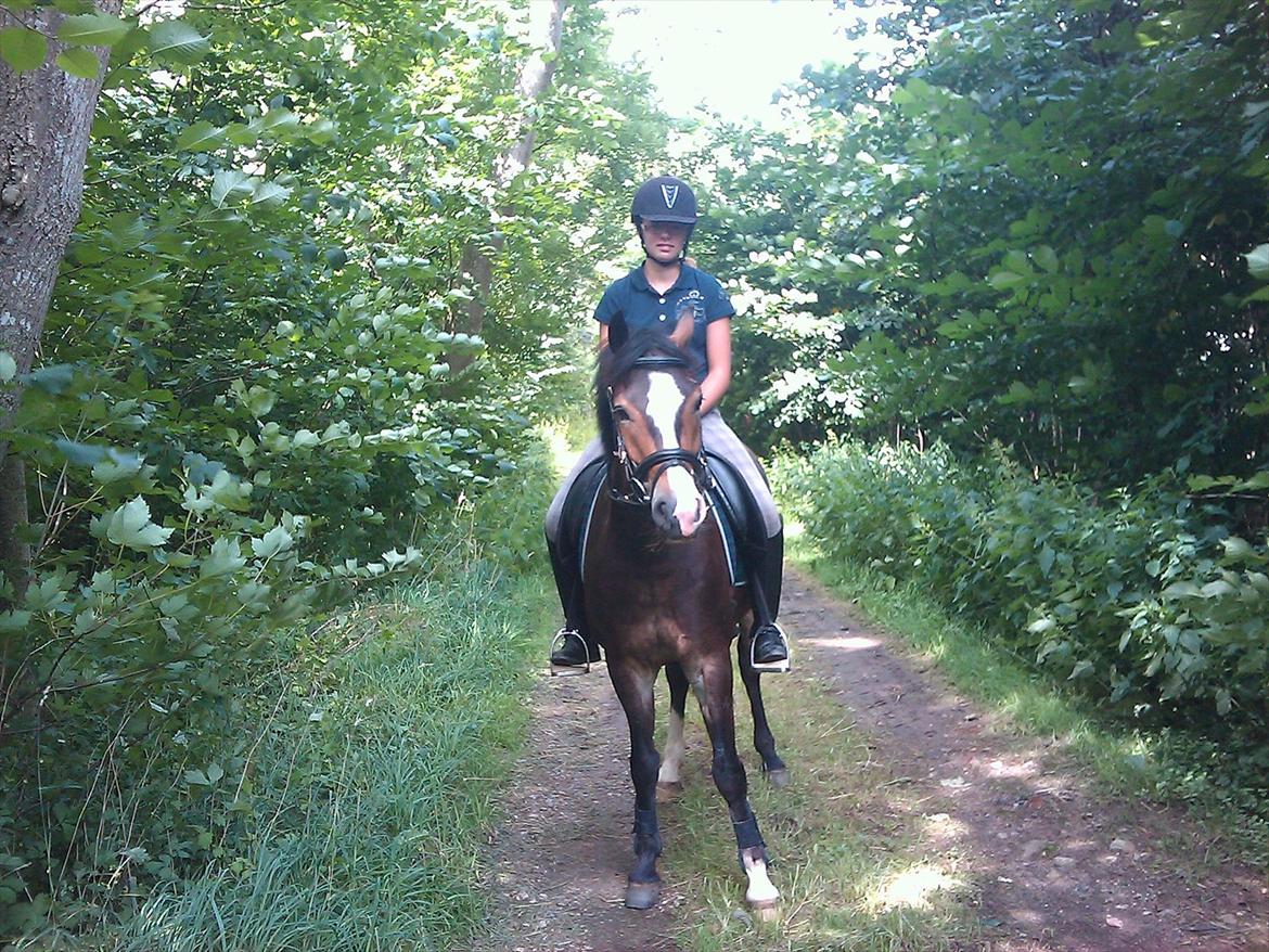 Anden særlig race Kaspar - På tur:D
 billede 8