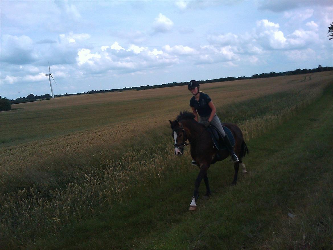 Anden særlig race Kaspar - En frisk galop tur er altid godt!:D billede 11