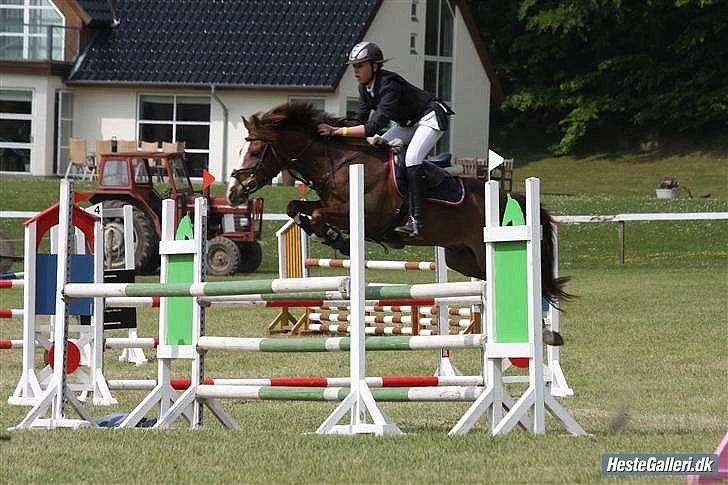 New Forest Orchid's Champer<3 solgt :'-( billede 2