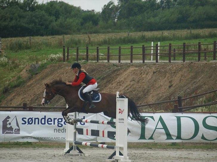 DSP Sønderlunds Asanti B-pony R.I.P - mb2 i Melby 18 juli 2011
c-stævne billede 14