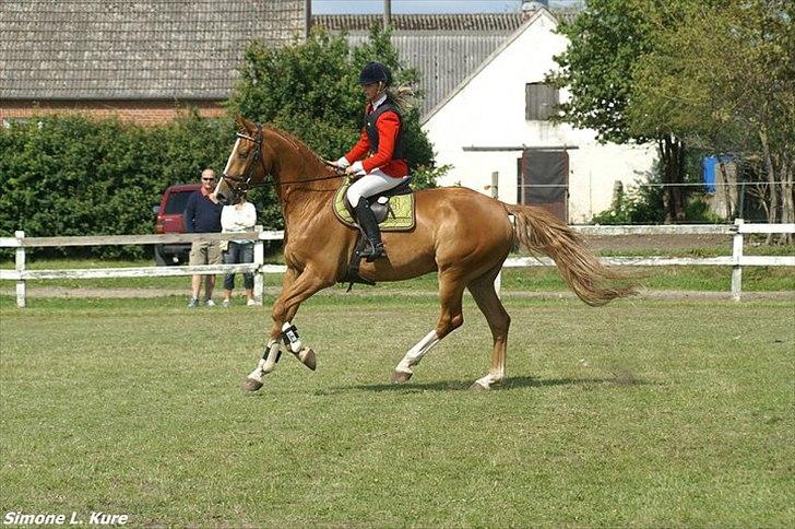 Branderburger Duccio - ser jeg ikke lidt lille ud ? :) billede 5