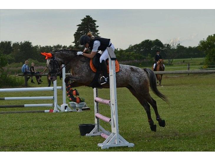 {{currentPhoto.altText}} billede {{currentPhoto.number}}