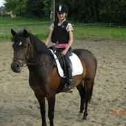 New Forest Hamborgs Fuchsia