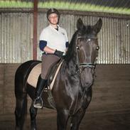 Oldenborg Condor Rævdal