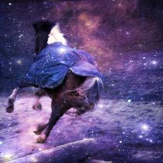 Anden særlig race Tamara † -Guardian Angel-