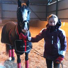 Welsh Cob (sec D) Meter