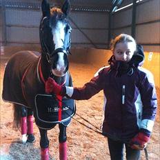 Welsh Cob (sec D)  Meter