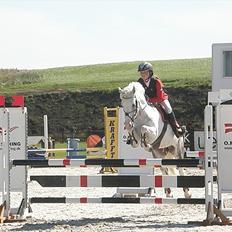 Anden særlig race Faithful´s Jamaica B-pony