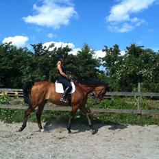 Anden særlig race Bob <3 (R.I.P :'( <3)