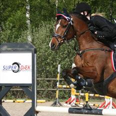 Anden særlig race Scania