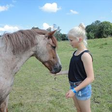 Anden særlig race Spiderman  (Napoli)