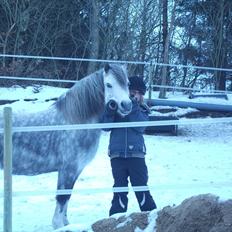 Anden særlig race Roxet