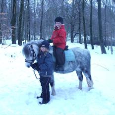 Anden særlig race Roxet