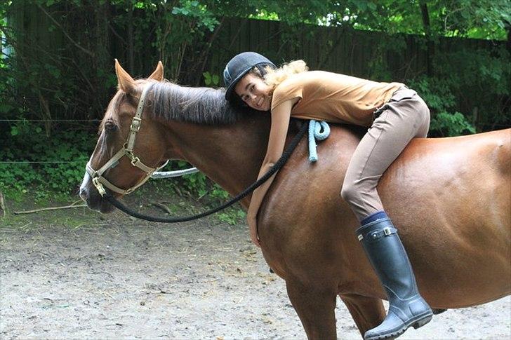 Anden særlig race Picasso - Dejlig dag med dejlig hest <3 billede 11