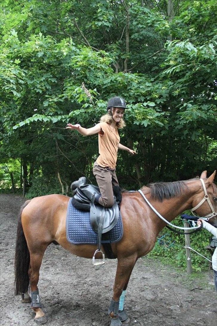 Anden særlig race Picasso - Næsten oppe at stå :D billede 12