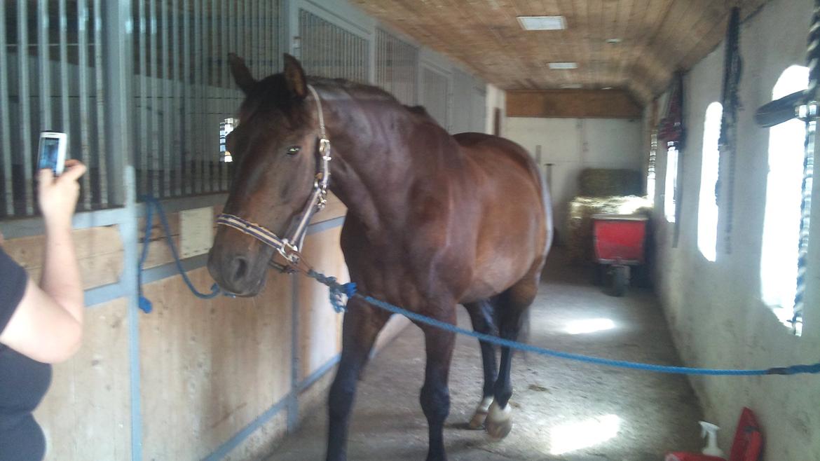 Oldenborg Maxi - Hva laver du der? ?  billede 3