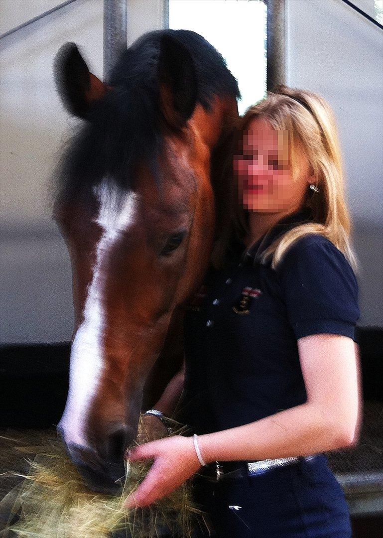 Dansk Varmblod Que Vadis <3 - Søde Bubbii Bjørn <3 billede 5