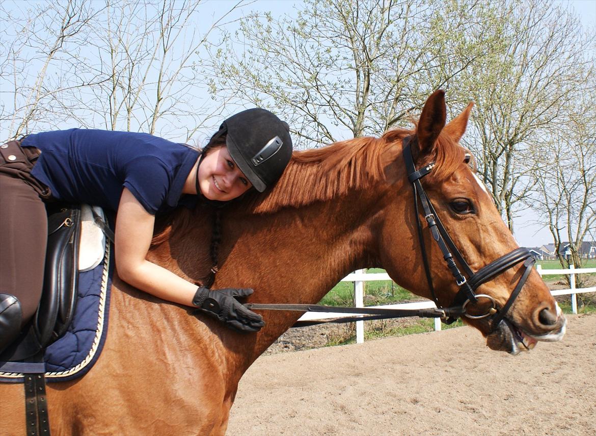 Tysk Oldenburger Märchengold - Første ridetur hjemme :) billede 13