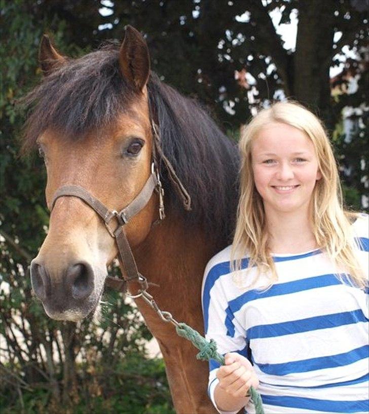 New Forest Luxie - Juli 2011, sweet <3 foto: anne billede 16