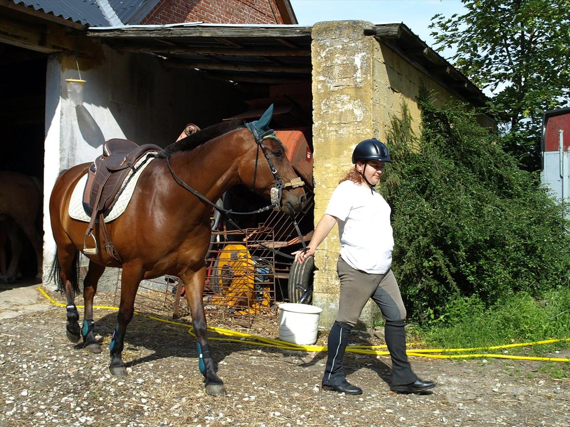 Anden særlig race Jobbe - Jobbe med nyt udstyr, for det skal vi sandelig ikke gå ned på billede 12