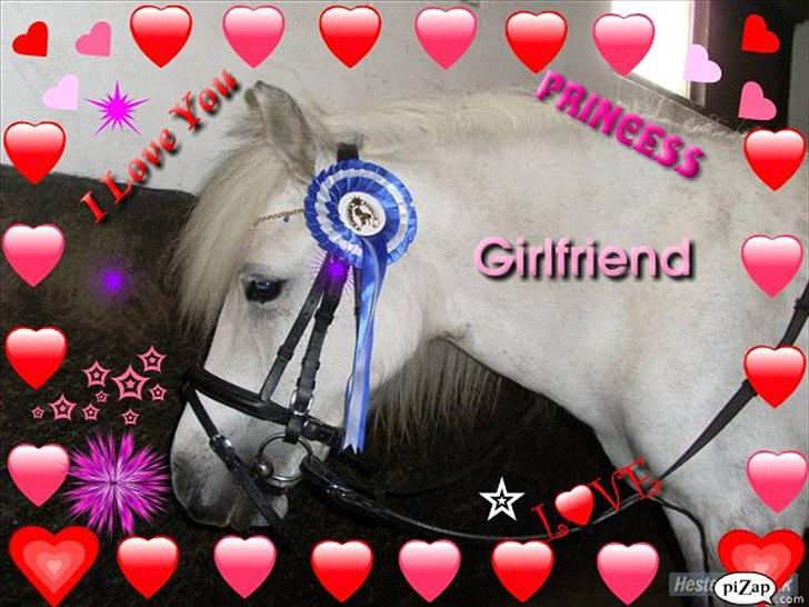 Anden særlig race Wendy solgt billede 1