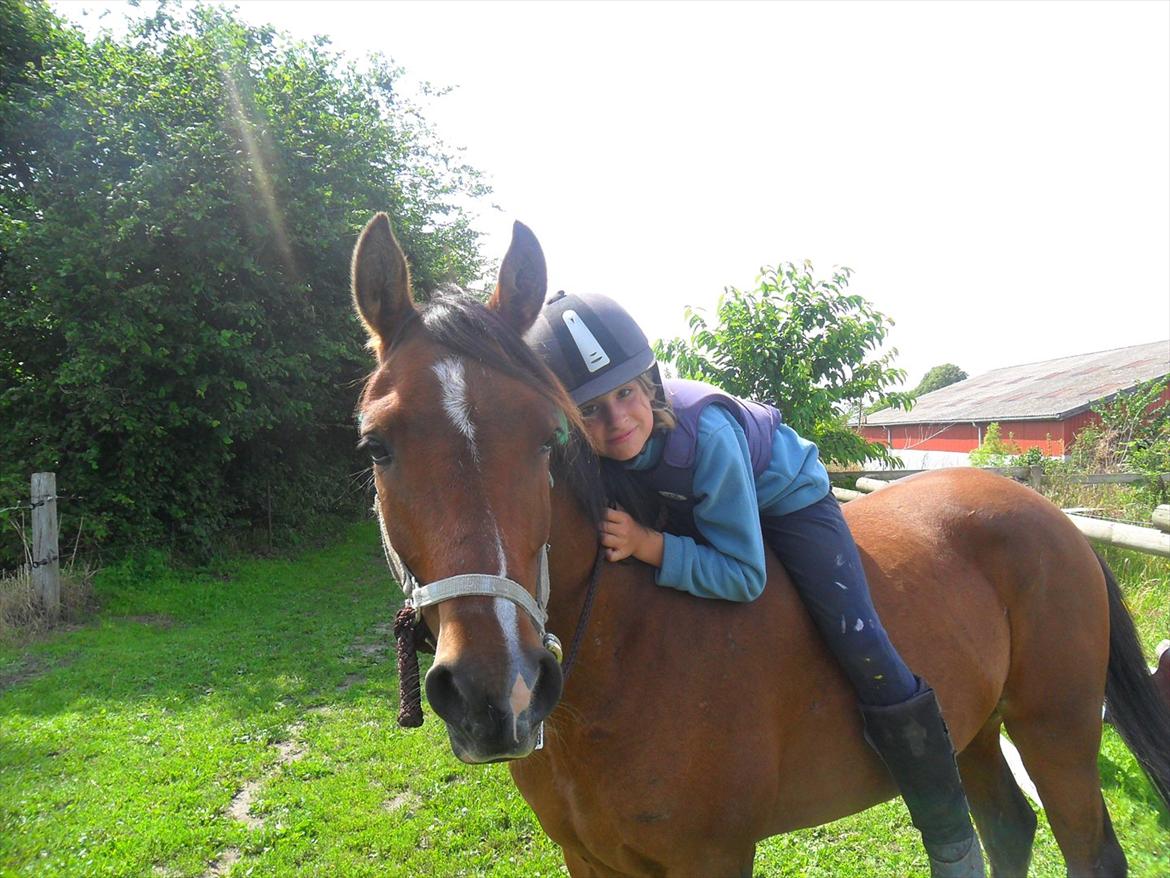 Anden særlig race Calvados  - Vi rider tit i grime og uden sadel :D billede 9