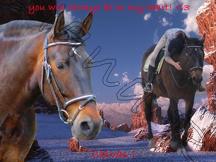 Oldenborg Chivas regall - 
redigeret af Nana R <3 tak billede 14
