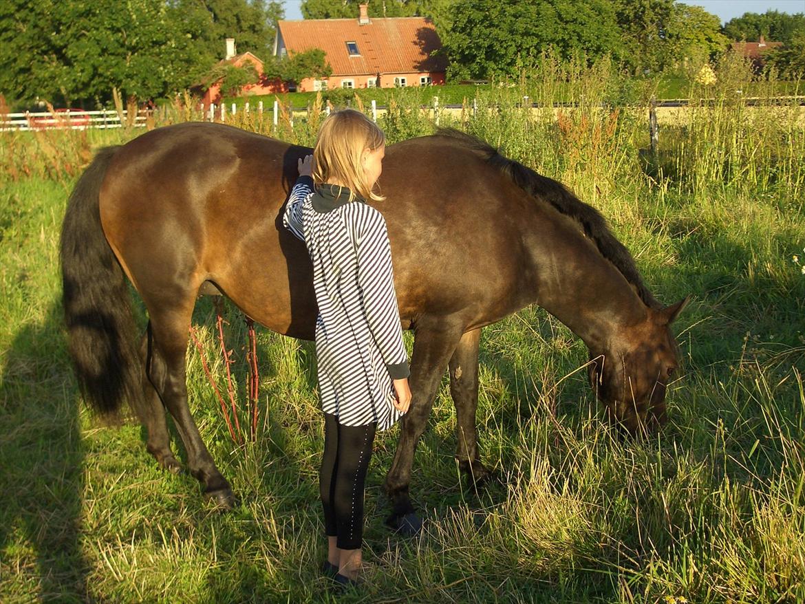 Anden særlig race Halkærhus Samara SAVNET! billede 3
