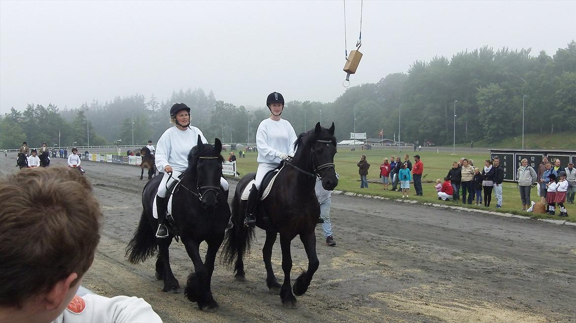 Frieser Kashmir Toustrup - Racernes ringridning, dyreskue 2011 <3 billede 4