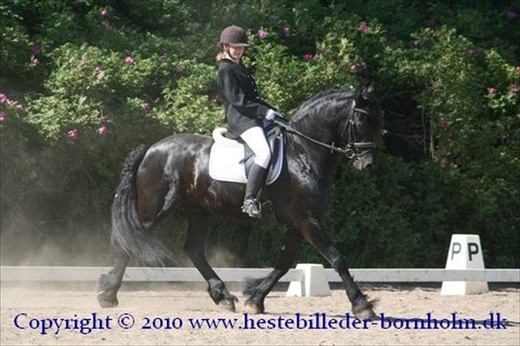 Frieser Kashmir Toustrup - Stævne 2010 billede 6