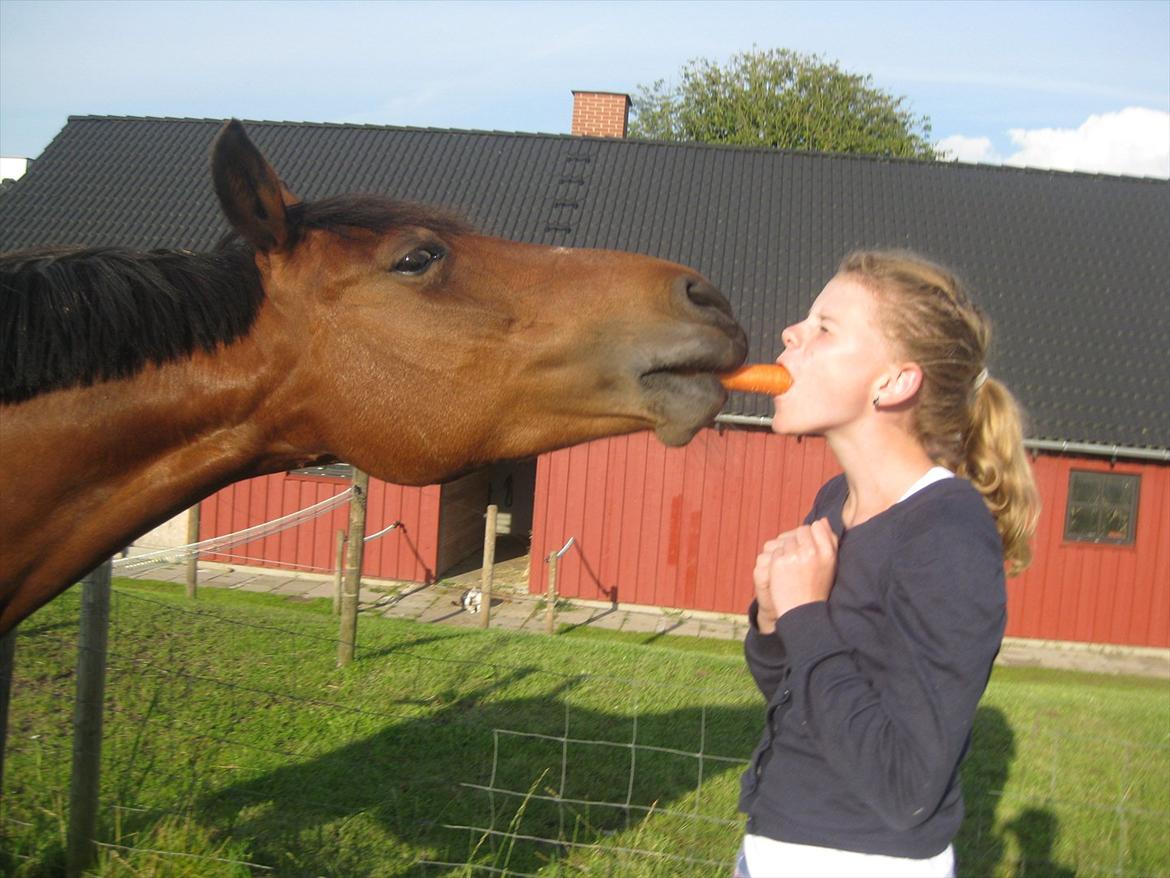 DSP Svanfolks Rebecca - Mig & Rebecca deler en gulerod, hun er deejlig :) billede 8