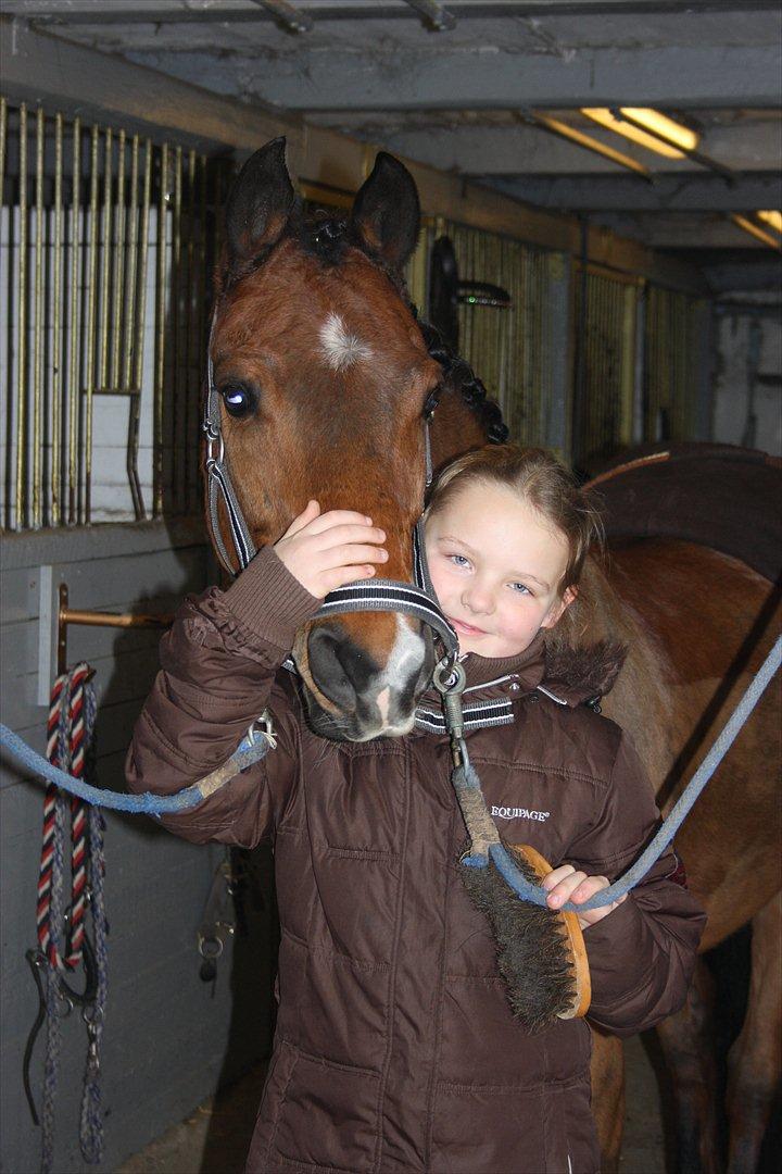 DSP Ambrosius A.M. - Elsker bare min pony ! billede 4