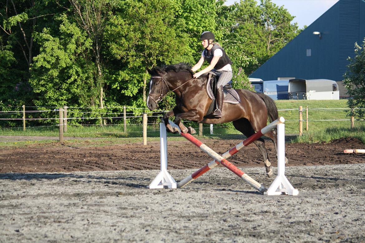 Anden særlig race Venus (solgt) billede 10