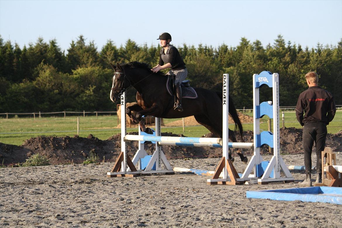 Anden særlig race Venus (solgt) billede 11