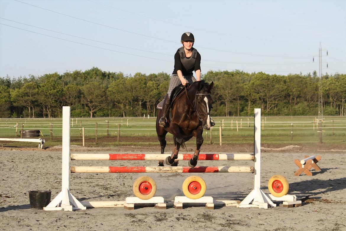 Anden særlig race Venus (solgt) billede 12