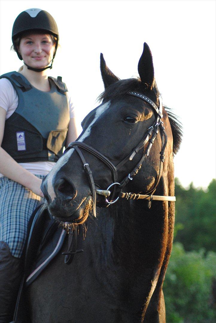 Anden særlig race Venus (solgt) - savn på min skøn herlige hypper  billede 13