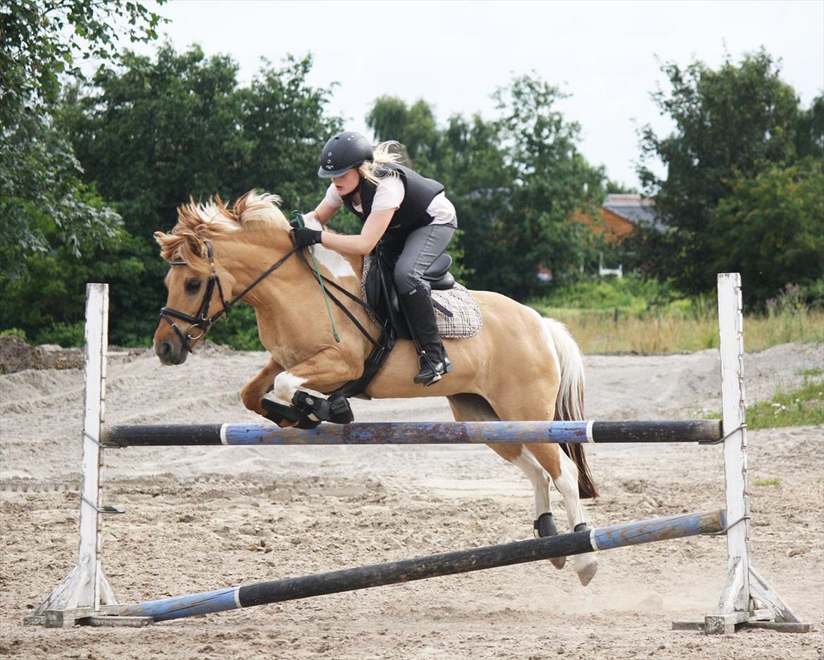 Anden særlig race Molly<3 - Anna & Molly springer 1m! :-) billede 4