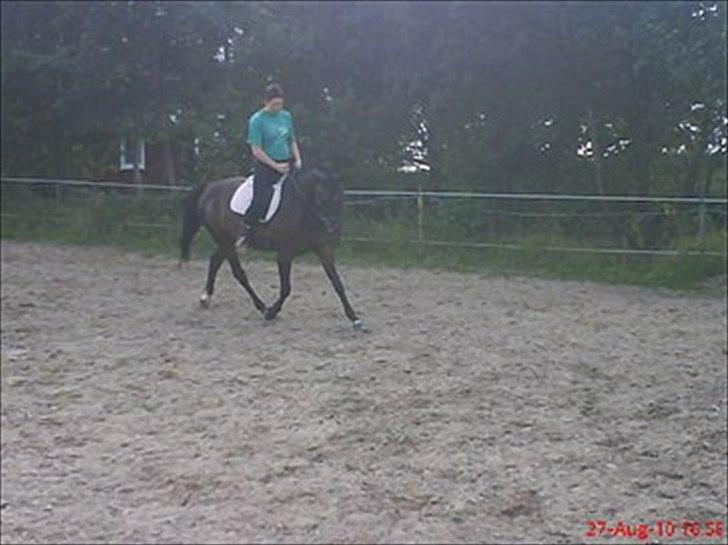 Traver Linda egely *rip* - okt 2010 billede 16