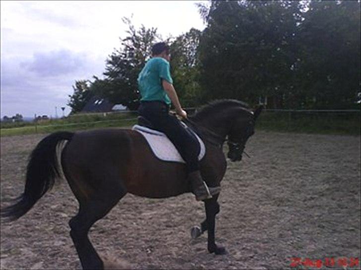 Traver Linda egely *rip* - okt 2010 billede 17