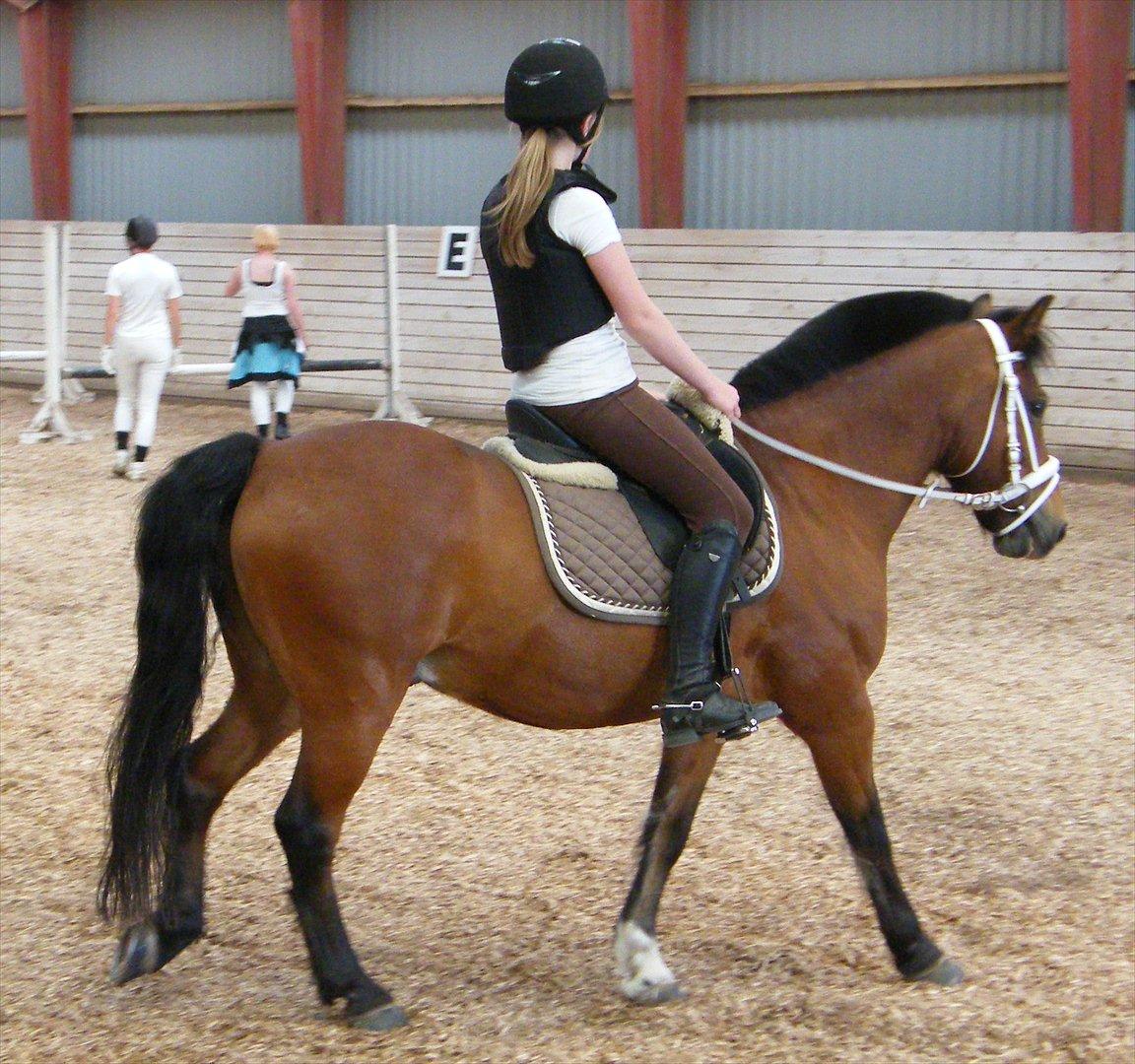 Anden særlig race Bruno<3 R.I.P :'( - Bruno & jeg til åbent hus:) billede 1