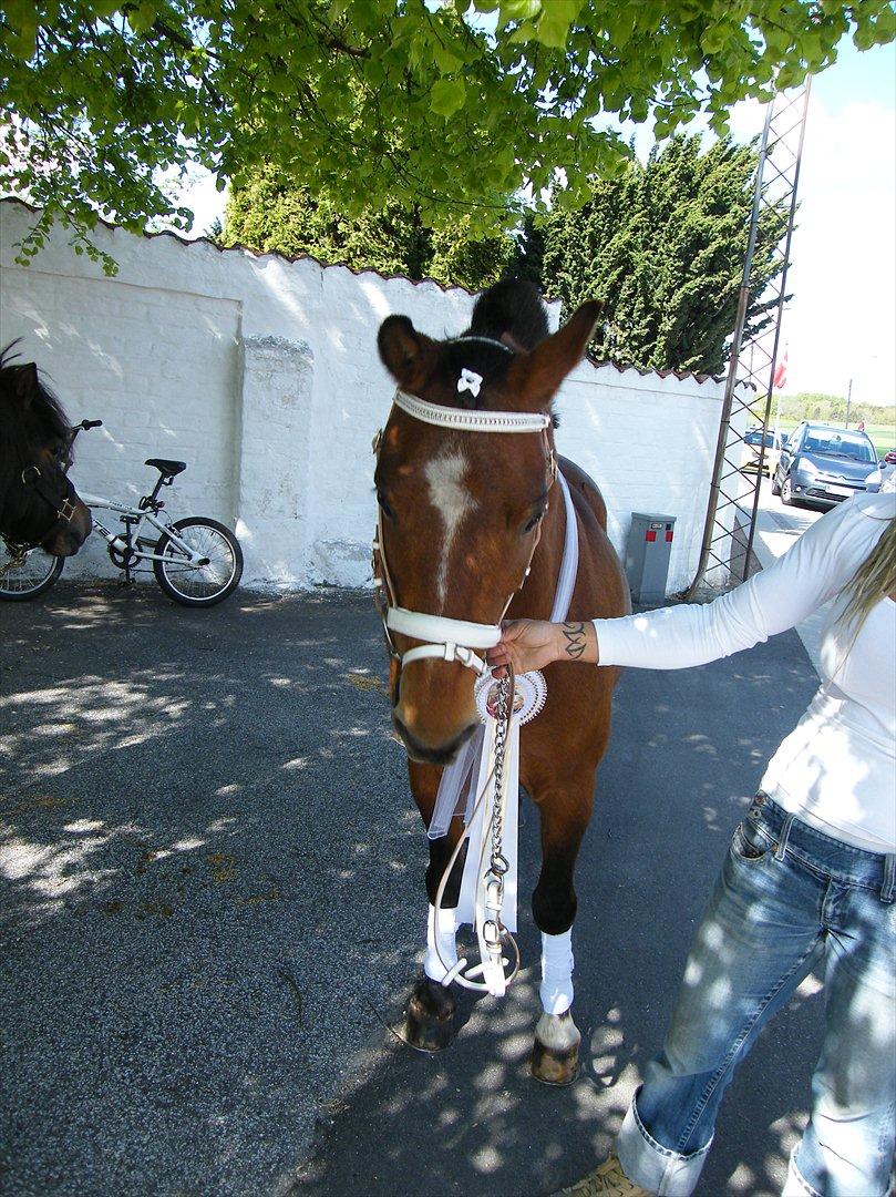 Anden særlig race Bruno<3 R.I.P :'( - Oppe ved kirken til min konfirmation:) billede 5