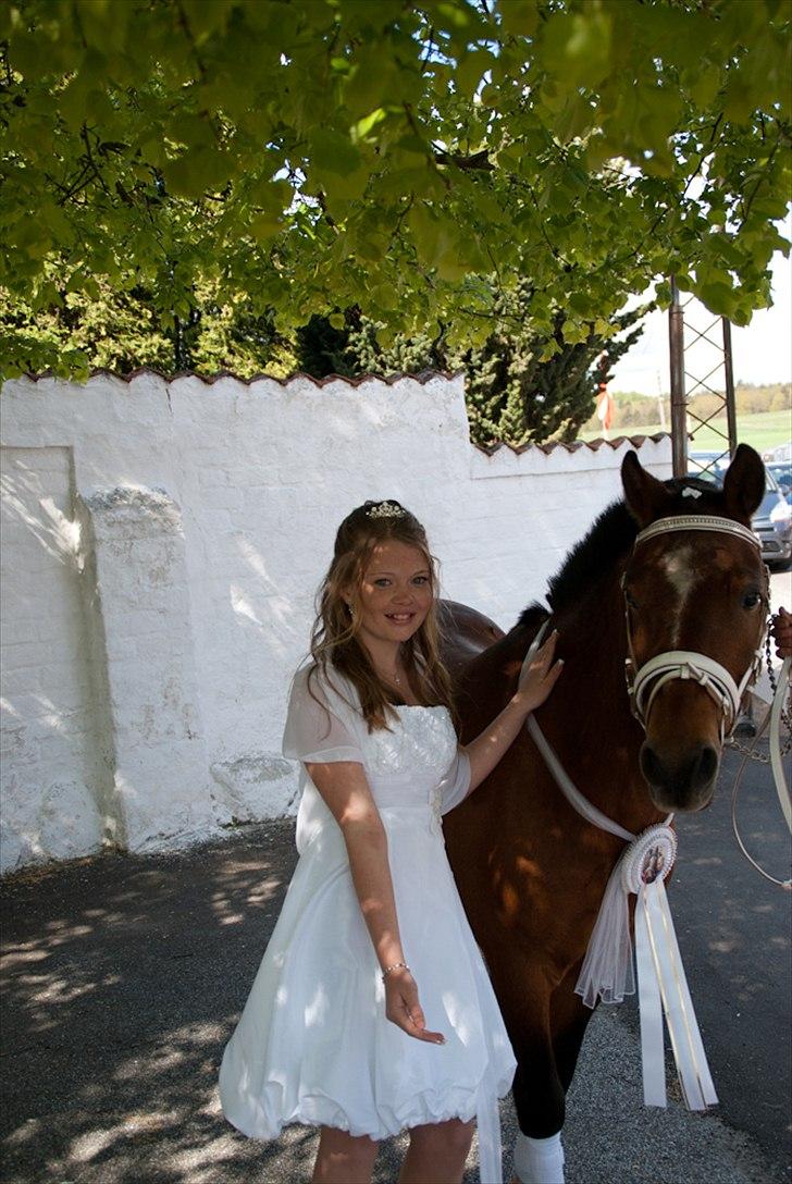 Anden særlig race Bruno<3 R.I.P :'( - Mig og Bruno til min konfirmation<3 billede 6