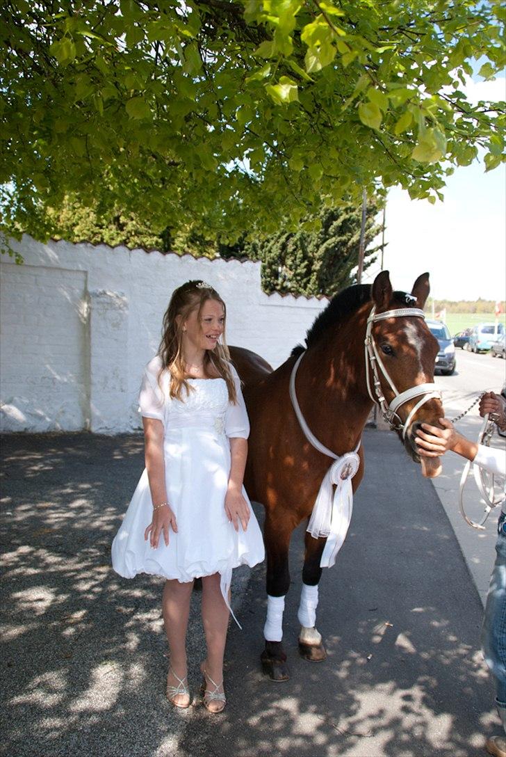 Anden særlig race Bruno<3 R.I.P :'( billede 8