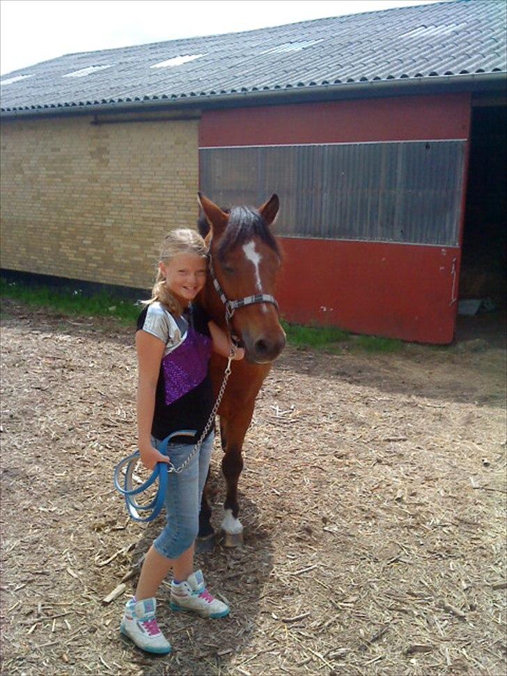 Anden særlig race Bruno<3 R.I.P :'( billede 11