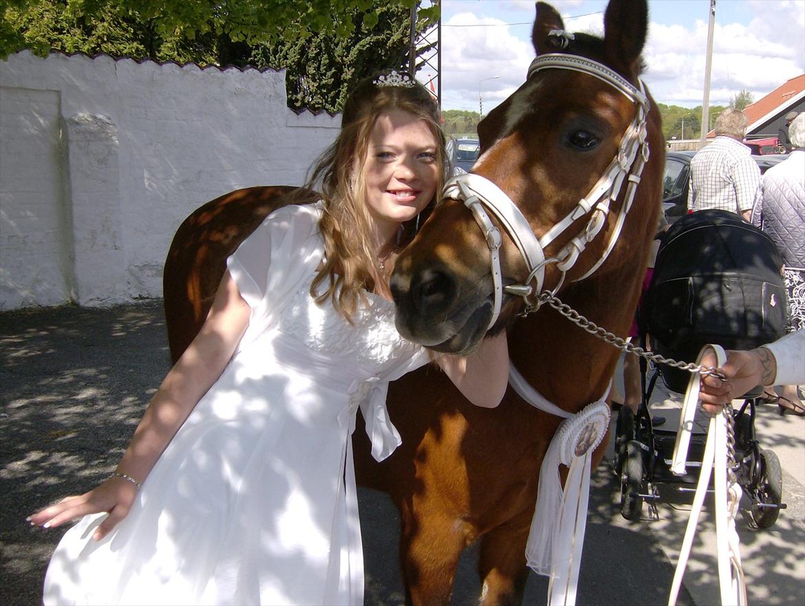 Anden særlig race Bruno<3 R.I.P :'( billede 13