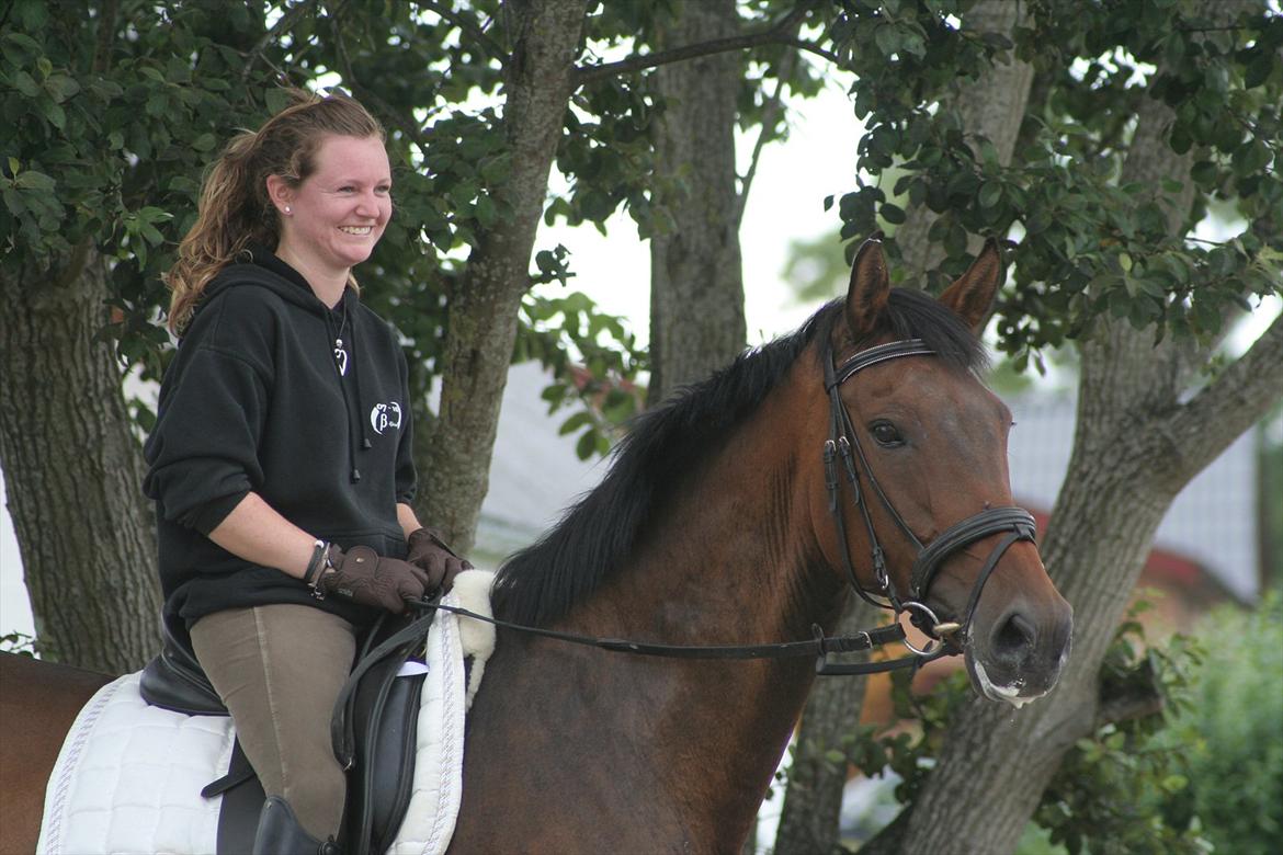 Dansk Varmblod Anja - solgt - Smukke Anja ! :* billede 14