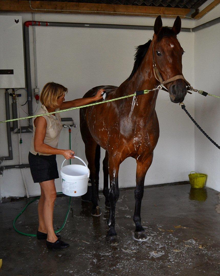 Holstener Waikiki - Så skal Kiki-mor gøres fin til hoppekåringen billede 8