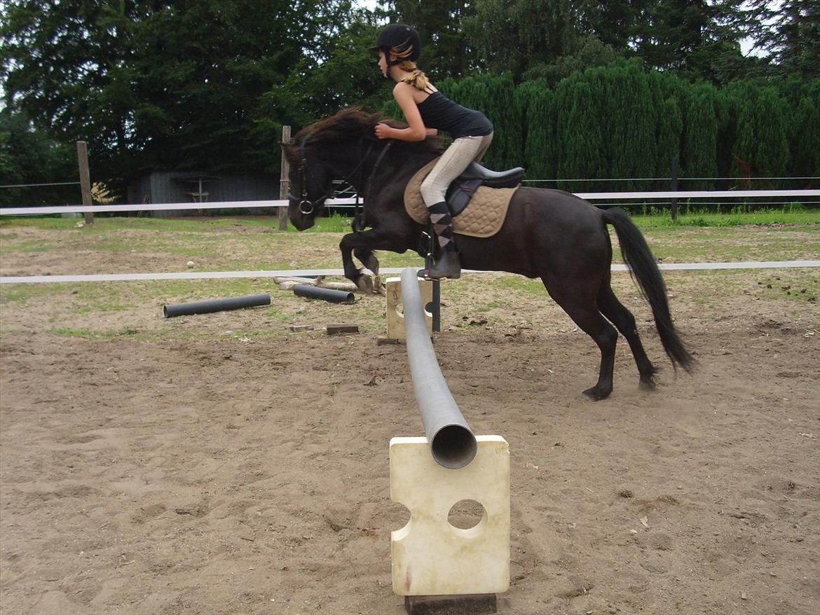 Anden særlig race Blackie - 21. juli :) billede 10