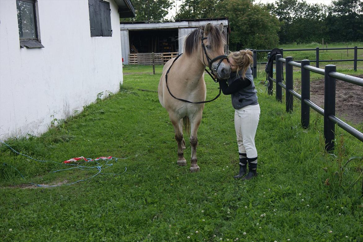 Fjordhest Beersmindes Tarzan - Mig og dig foraltid :-*. billede 2