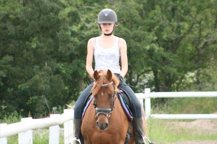 Anden særlig race Pasadena "tyksakken"<3. billede 14